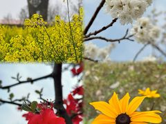 -国际非物质文化遗产博览园