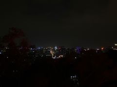 -金鸡山公园