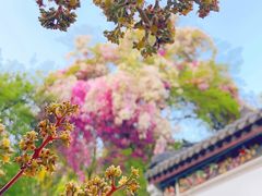 -深圳国际园林花卉博览园