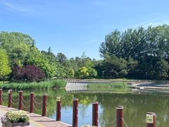 -大望京公园