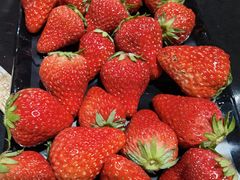 -果松木炭酸菜铜火锅·外婆参鸡汤