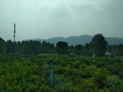 -那家山城(樱桃园店)