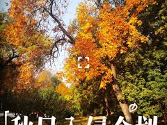 -元大都城垣遗址公园