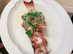 -伯衡55·吉品轩(乌鲁木齐南路店)