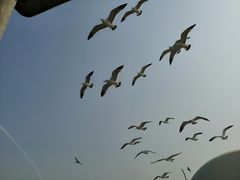 -海驴岛(荣成市)