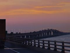 -枸杞岛