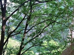 -北京凤凰岭