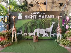 -清迈夜间动物园