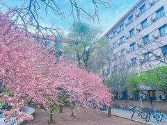 -中国政法大学(昌平校区)