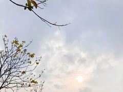 -白石龙音乐公园