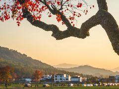 -塔川景区