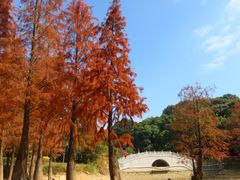-广州市帽峰山景区