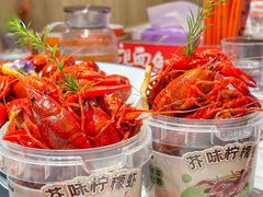 -杨氏青龙虾·羊蝎子(托乐嘉店)