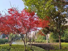 -桃花岭景区