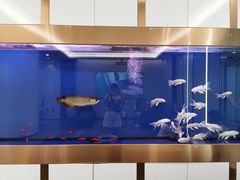 -牙博士口腔(杨浦店)