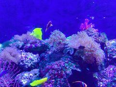 -成都浩海立方海洋公园