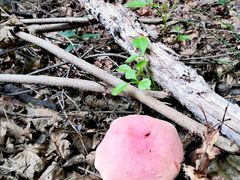 -玉渡山自然风景区