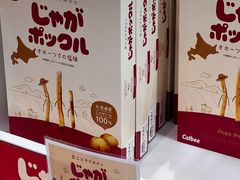-大阪国际机场