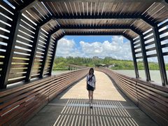 -昆山城市生态森林公园