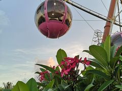 -三亚海昌梦幻海洋不夜城