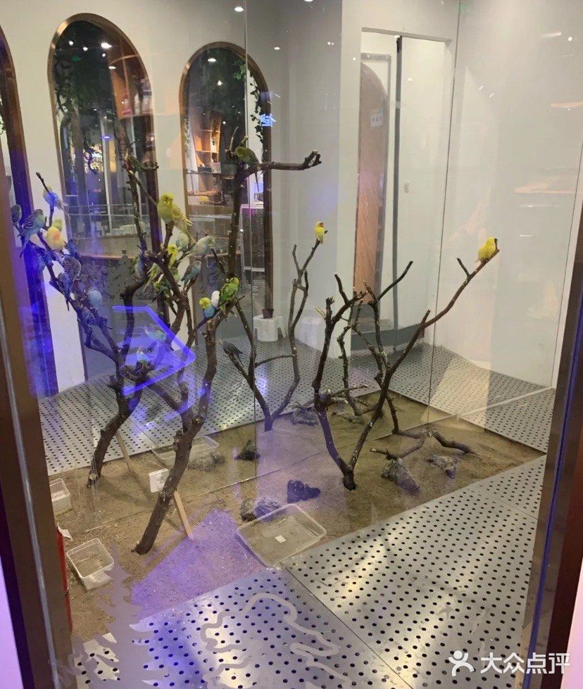 六一嗨玩➕大朋友小朋友都喜欢的啵咿萌宠馆
