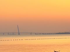 -深圳湾公园(南山区)