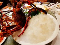 -金悦轩海鲜城(渔人码头店)