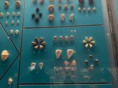 -天津自然博物馆