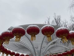 -宝鸡植物园