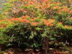 iphone_upload_pic-日军最后司令部遗址