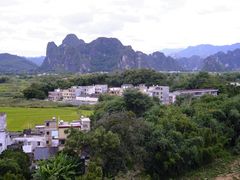-银峰农庄·特色烧鸡·鲜无花果浸鸡