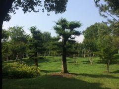 -堤角公园