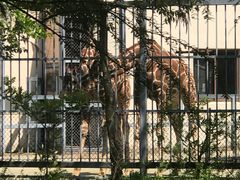 -上方山森林动物世界