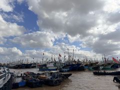 -高佳庄·舟山海鲜(海景旗舰店)