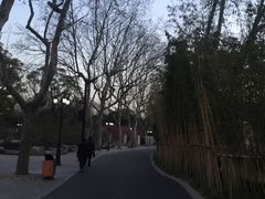 -鲁迅公园