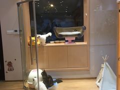 -Pets First伊珊娜洗护·精致美容·家庭式寄养(新会路店)