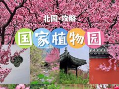 -国家植物园