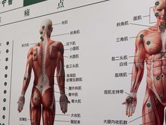 -通透堂中医·精准推拿(万科云城分院)