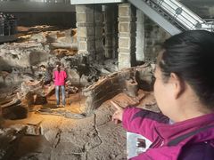 -自贡恐龙博物馆