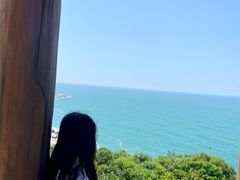 -广东惠东海龟国家级自然保护区