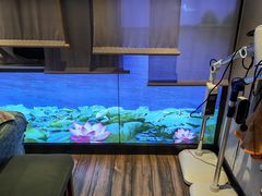 -上足·影院足道·SPA(红岭店)