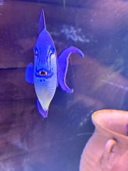 -Zoolung Zoolung动物主题公园(海信广场店)