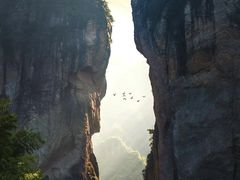 -雁荡山大龙湫景区