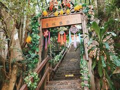 -西双版纳原始森林公园