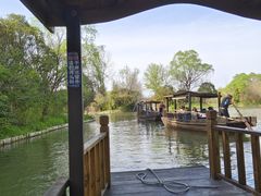 -溱湖国家湿地公园