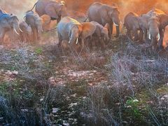 -罗红摄影艺术馆