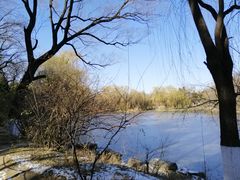 -北京大学-燕南食堂