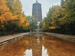 -玲珑塔公园
