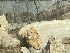 -石家庄市动物园