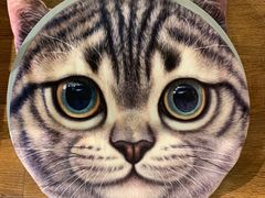 -绒爪撸猫下午茶·猫咖